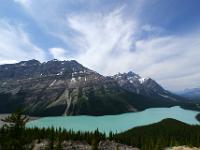 Grandiose Aussicht zum Peyto Lake - Banff NP